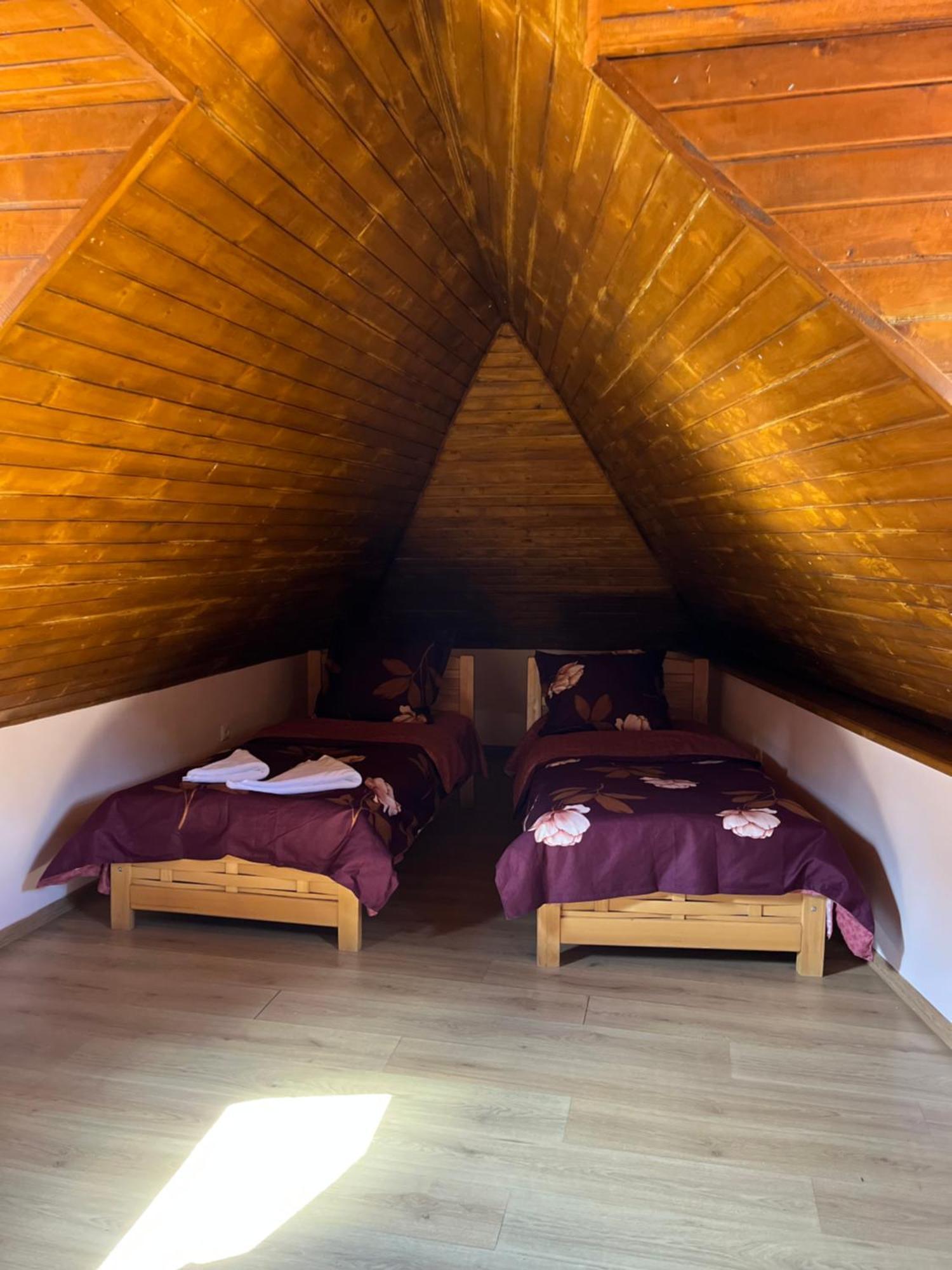 Anano Apartment on Botanikuri Tbilisi Zewnętrze zdjęcie